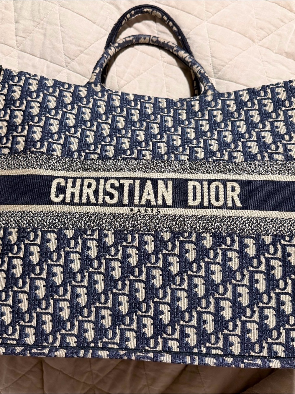 Dior Blue and White Logo Canvas Tote Bag